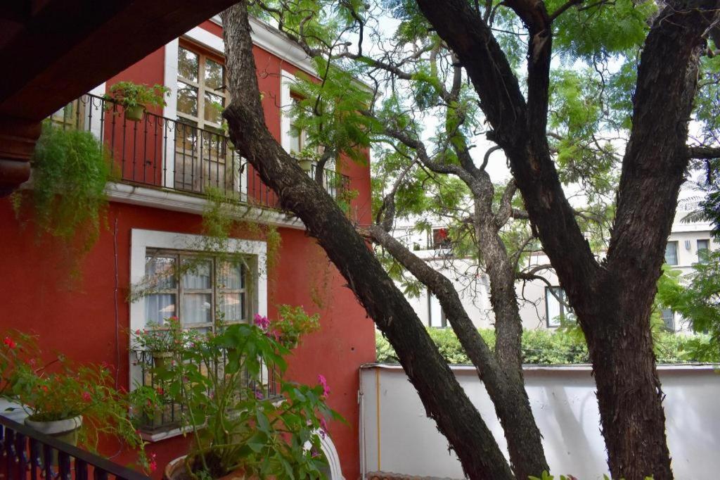 Hotel Ana Catalina And Suites San Miguel de Allende Eksteriør bilde
